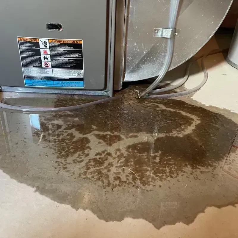 Appliance Leak Cleanup in Aransas Pass, TX